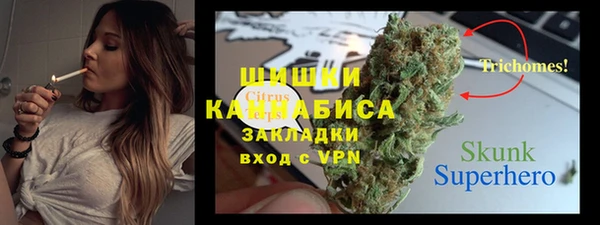 сатива Балахна