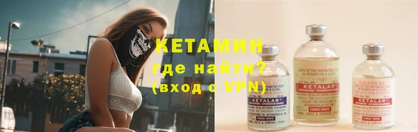 сатива Балахна